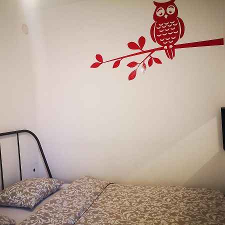 Filinhome Teleckog Novi Sad Eksteriør bilde